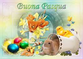 Pasquap